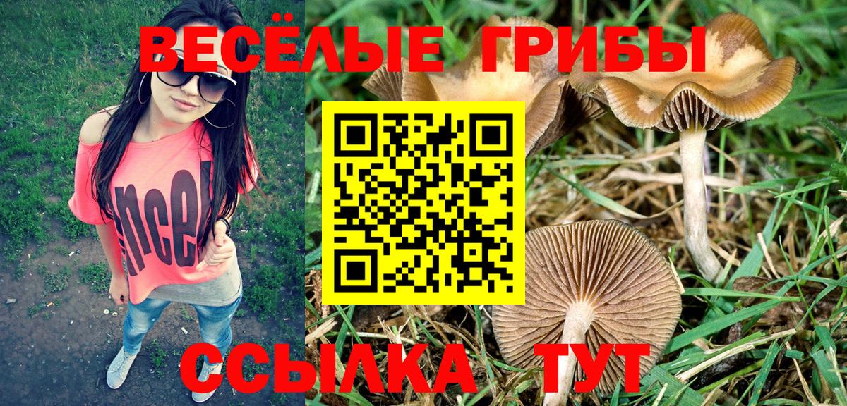 Псилоцибиновые грибы ЛСД  Вход с VPN  Мытищи 